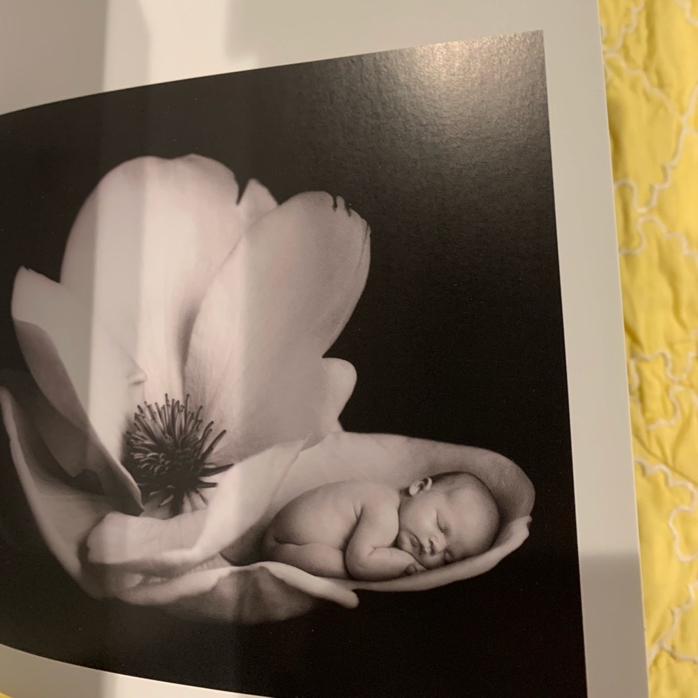 Anne Geddes “Little Blessings” - Picture 3 of 9